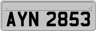 AYN2853