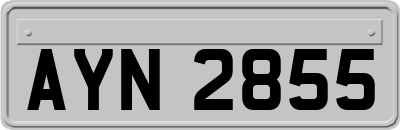AYN2855