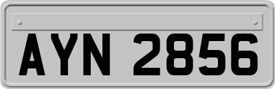 AYN2856