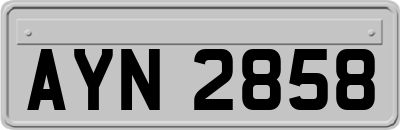 AYN2858
