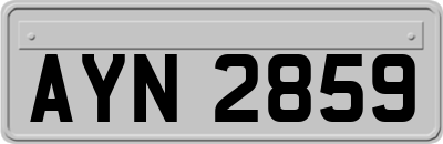 AYN2859