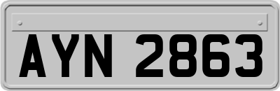 AYN2863