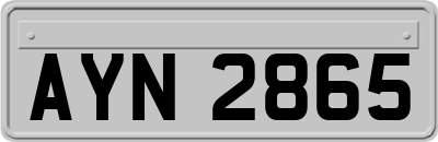 AYN2865