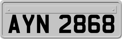 AYN2868