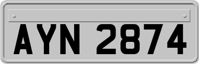 AYN2874