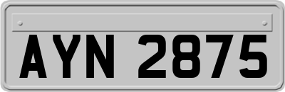 AYN2875