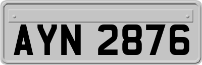 AYN2876