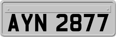 AYN2877