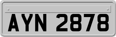 AYN2878