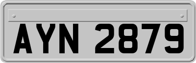 AYN2879