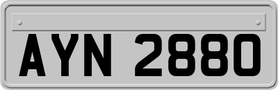 AYN2880