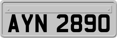 AYN2890