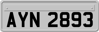 AYN2893