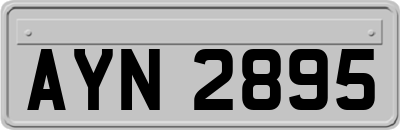 AYN2895