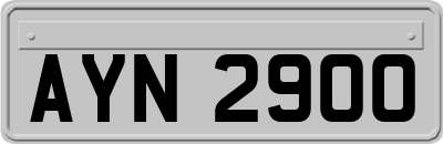AYN2900