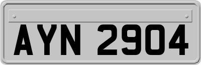 AYN2904