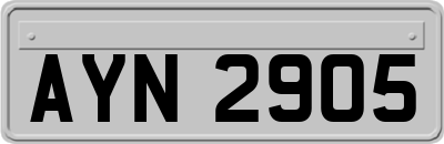 AYN2905