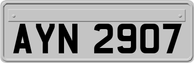 AYN2907
