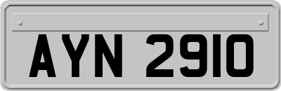 AYN2910