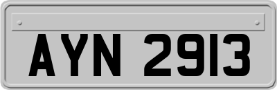 AYN2913