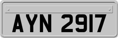 AYN2917