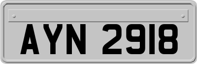 AYN2918