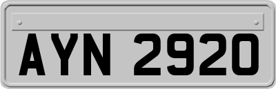 AYN2920