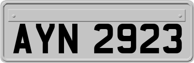 AYN2923