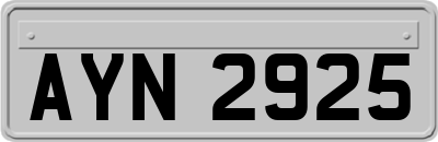 AYN2925