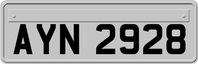 AYN2928