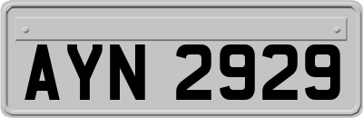 AYN2929