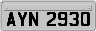 AYN2930