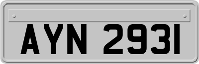 AYN2931