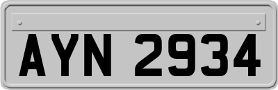 AYN2934