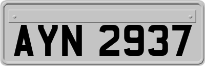 AYN2937