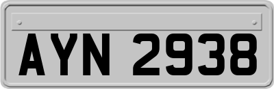 AYN2938