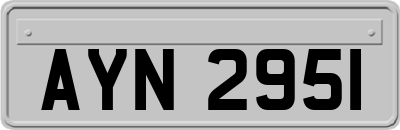 AYN2951