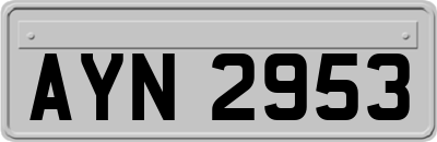 AYN2953