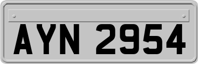 AYN2954