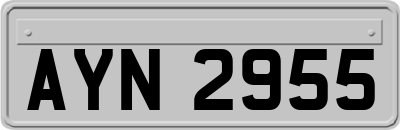 AYN2955