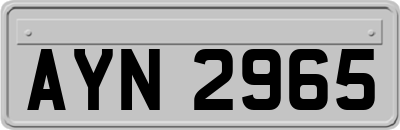 AYN2965