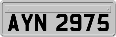 AYN2975
