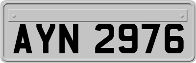 AYN2976