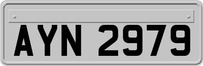 AYN2979