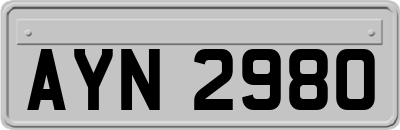 AYN2980