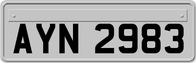 AYN2983