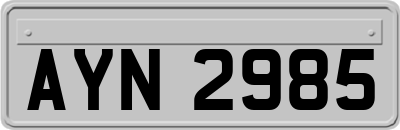 AYN2985
