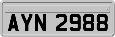 AYN2988