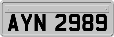 AYN2989