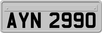 AYN2990